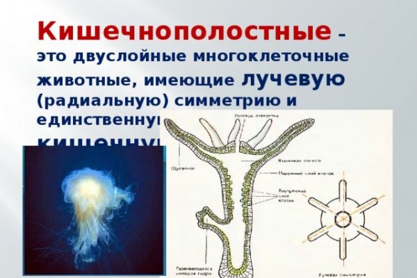 Зеркало тор bs onion info